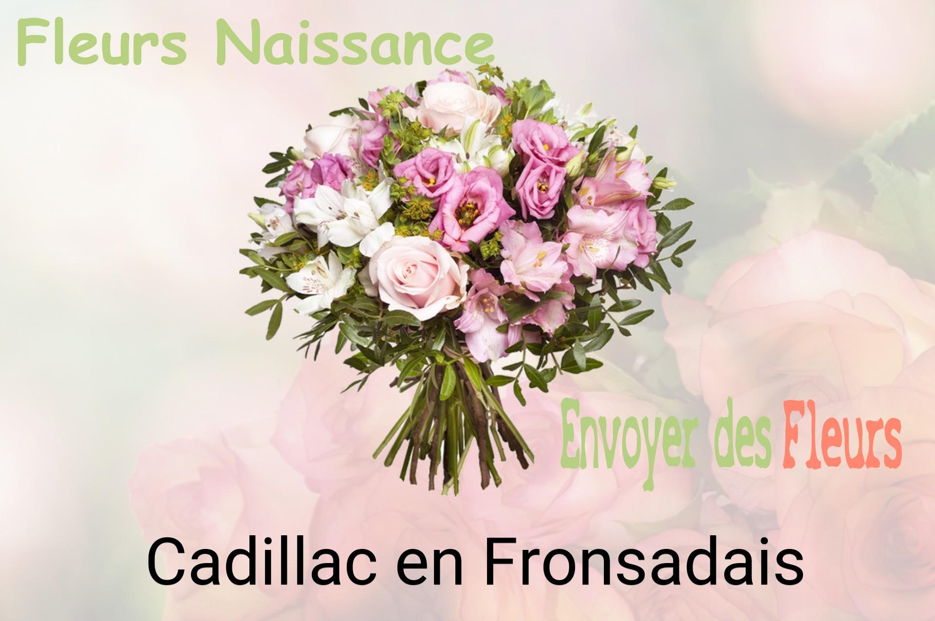 Bouquet de fleurs de naissance livré à Cadillac-en-Fronsadais